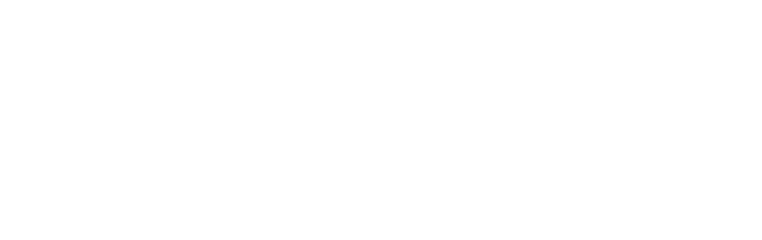 The SE Foundry